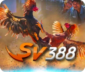 sv388