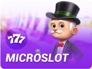 microslot
