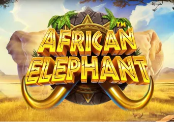 african-elephant