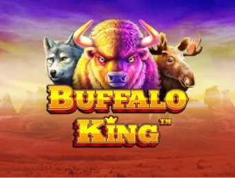 buffalo-king