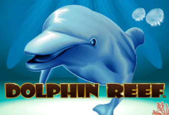 dolphin