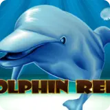 dolphin game