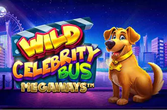 wild-celebrity-bus